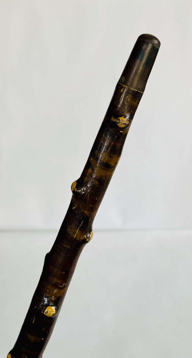 Canne de marche -photo-2